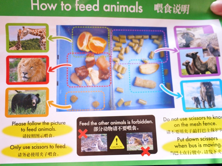 【日本 九州/大分】九州自然動物公園--餵食動物的近距離接觸