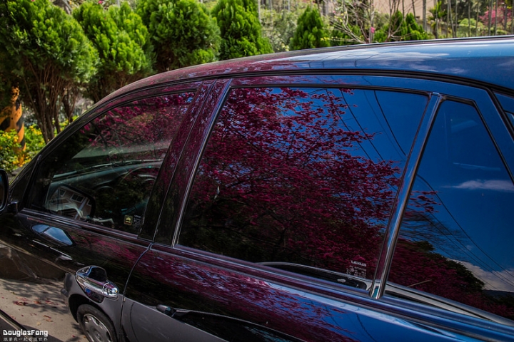 【遊記│南投埔里】箱根溫泉生活館/賞櫻景點@櫻花盛開的埔霧公路