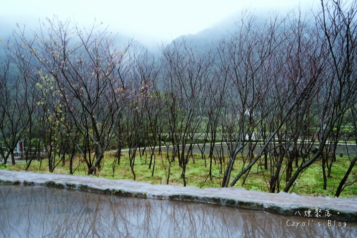 【新北金山】『八煙聚落-水中央』私房景點♡位於峰迴路轉的陽明山雨和霧的村落梯田秘境