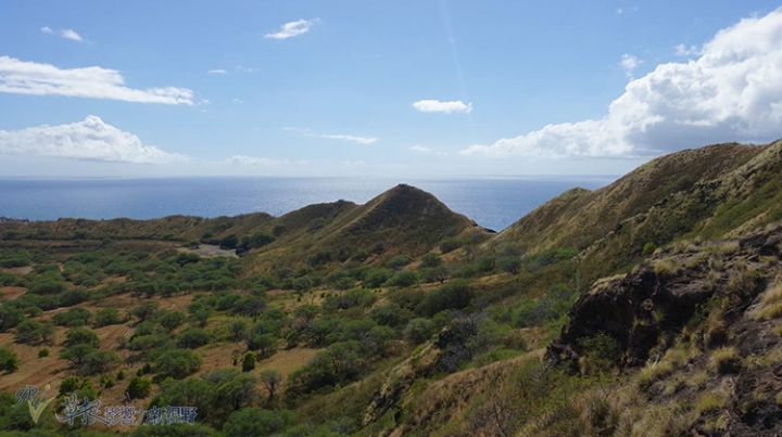夏威夷：歐胡島東北角之美 (三代同堂自由行)