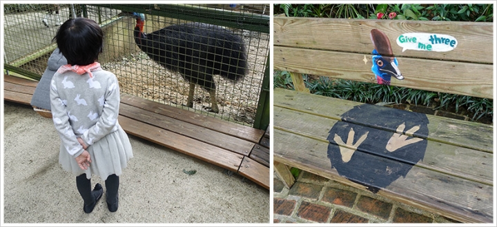 【親子行程限定】新竹苗栗就醬玩《森林鳥花園、假日休息站。採草莓。》