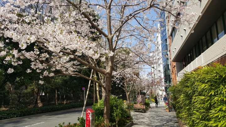 【日本‧東京】前進東京十天九夜築夢之旅（文長）