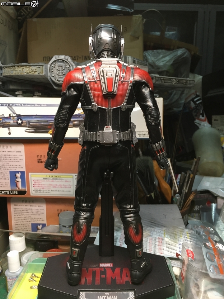 1/6活動人偶蒐藏:蟻人-史考特郎恩(Hot Toys MMS308)