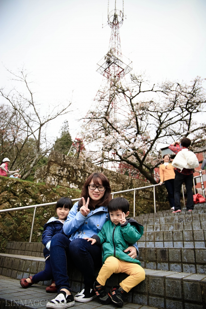 阿里山 