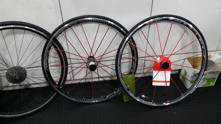 TCR KOM 瘦身計畫 PAR1-紅跑降臨 坐墊更新!