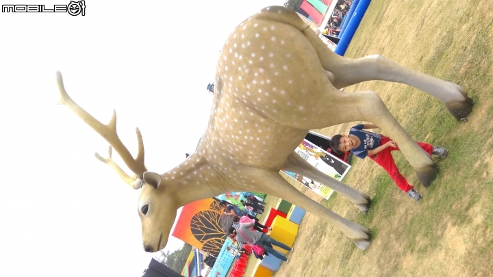 新竹 伊索寓言動物園 散步遊