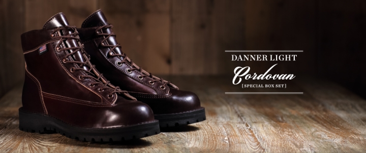 [開箱] Danner Explorer
