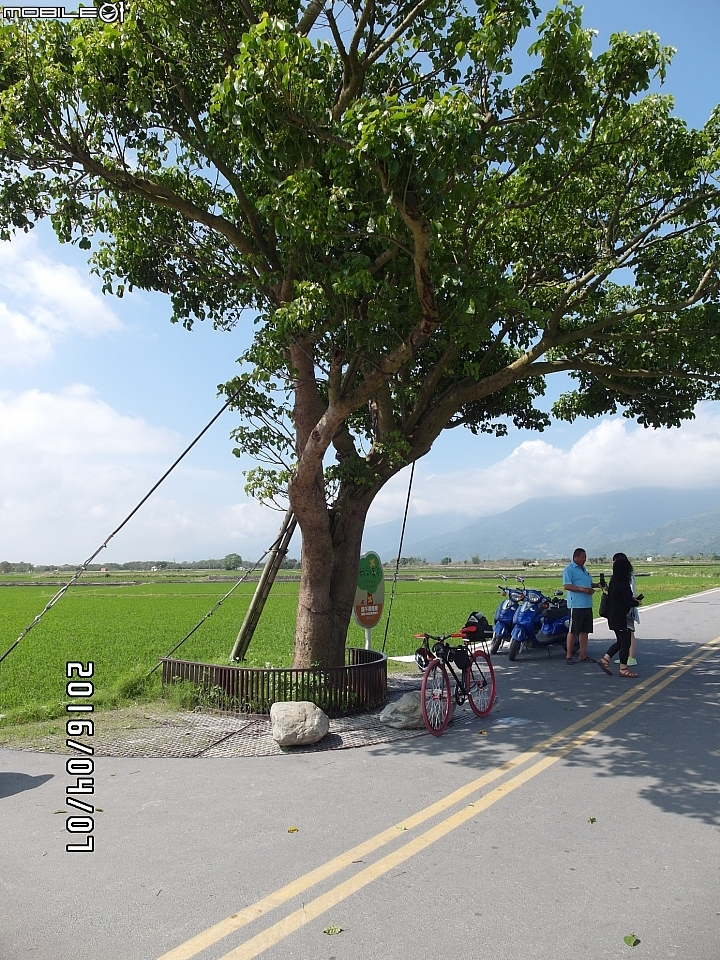 給自己的生日禮物 － 單速車環島遊記
