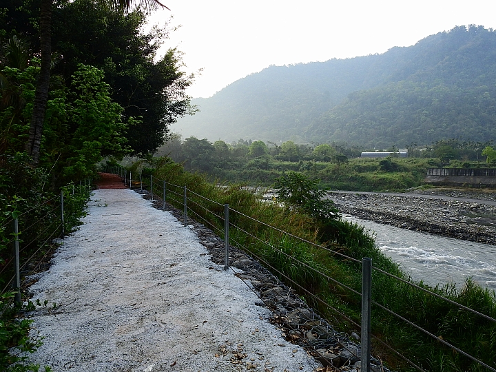 隔2年再到北港溪沙八溫泉渡假村，別墅區有落羽松步道哦！