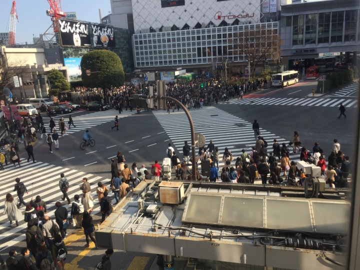 【日本‧東京】前進東京十天九夜築夢之旅（文長）