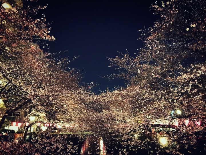 【日本‧東京】前進東京十天九夜築夢之旅（文長）