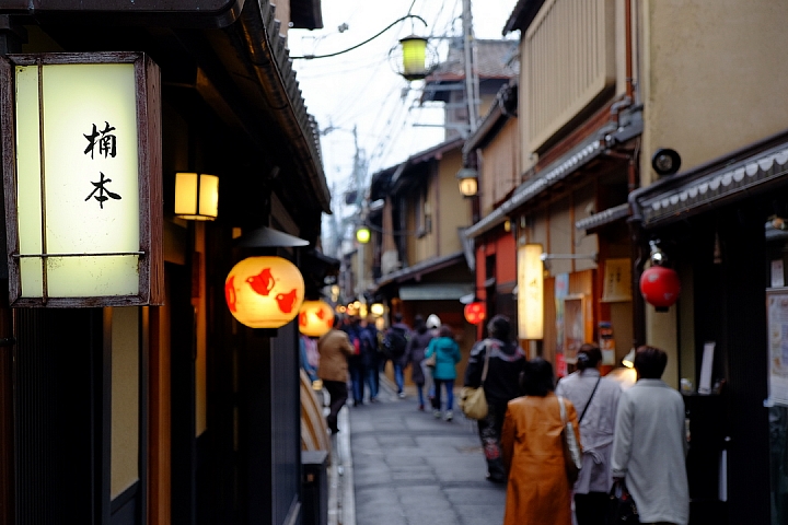 2016 京都賞櫻