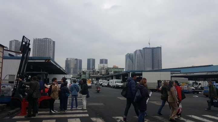 【日本‧東京】前進東京十天九夜築夢之旅（文長）
