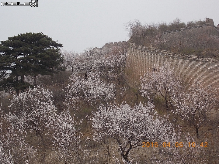 撞道口長城 (鎮虜關)
