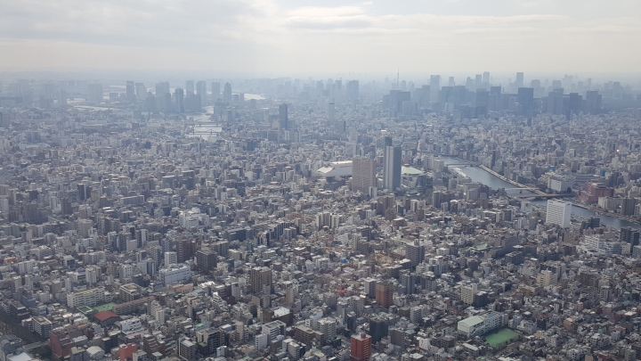 【日本‧東京】前進東京十天九夜築夢之旅（文長）