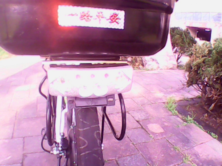我的電動自行車
