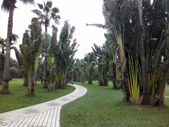 大安森林公園練拍