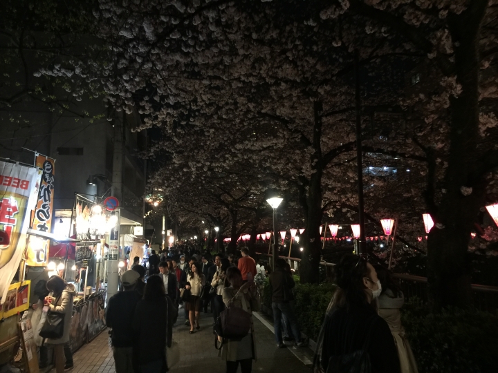 【日本‧東京】前進東京十天九夜築夢之旅（文長）