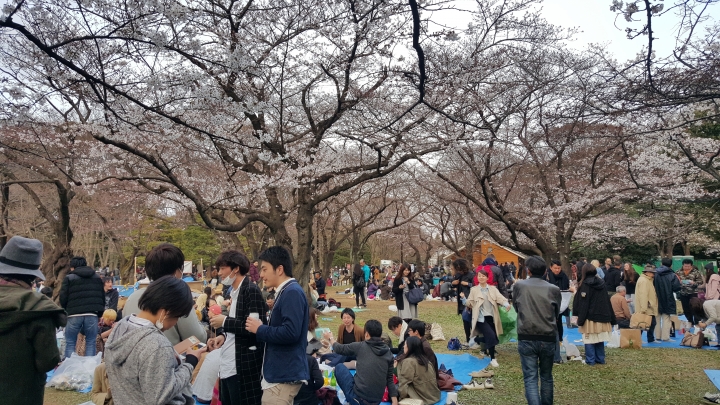 【日本‧東京】前進東京十天九夜築夢之旅（文長）