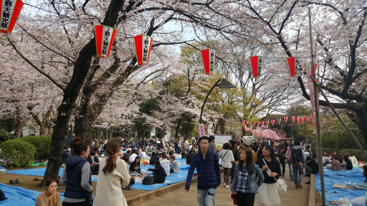 【日本‧東京】前進東京十天九夜築夢之旅（文長）