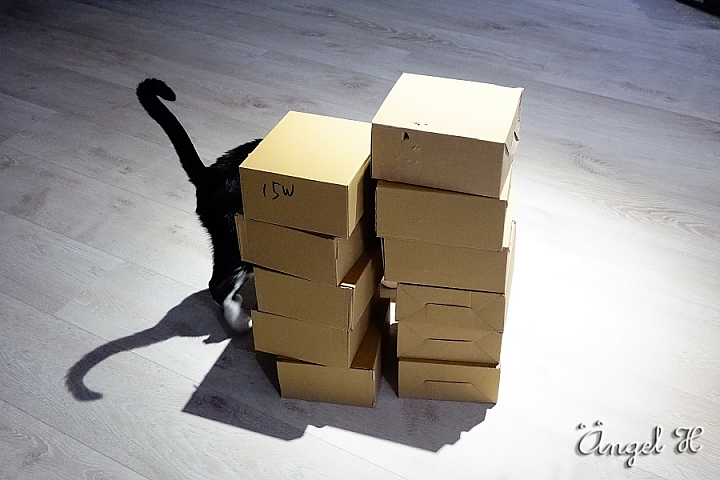 【R&A 新家裝潢佈置】燈具篇～ 分享軌道燈, 立燈, 吊燈, 哪裡買？買多少？還有心得分享