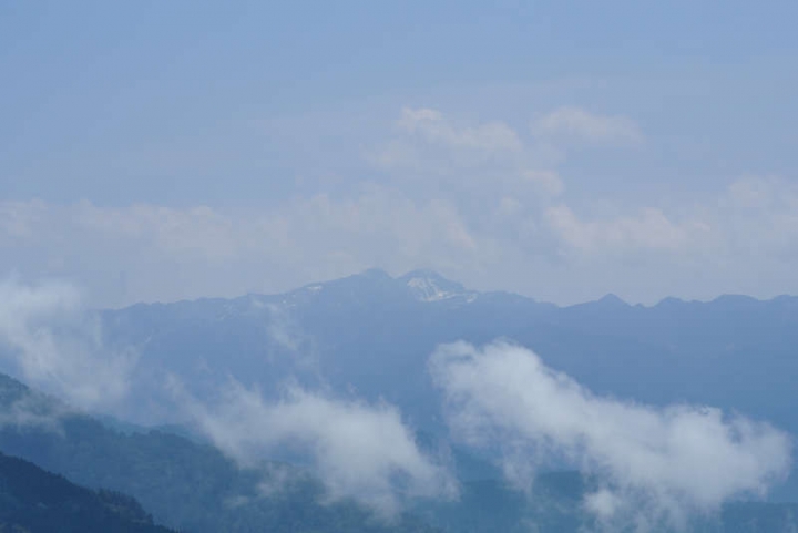 加里山一葉蘭現況