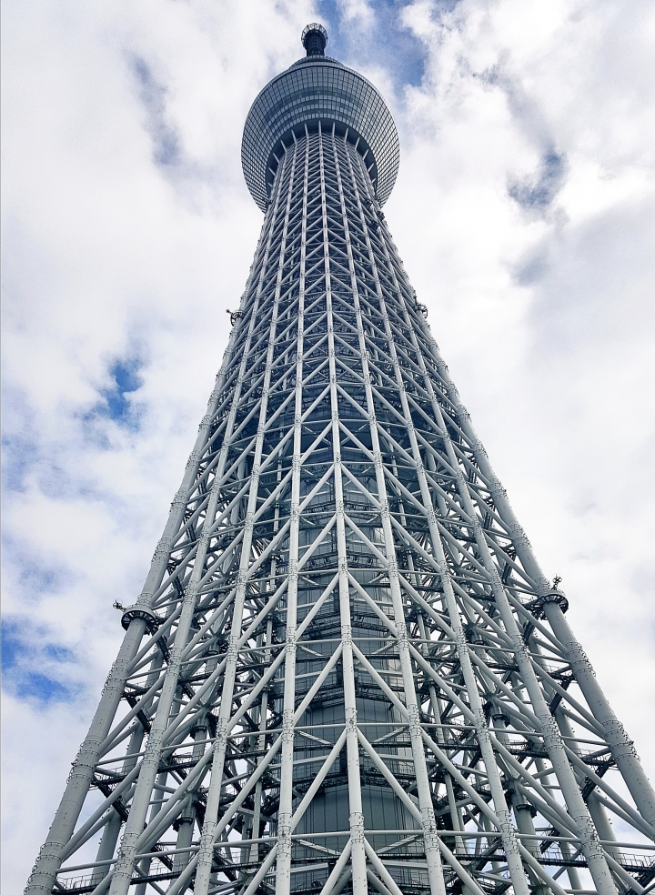 【日本‧東京】前進東京十天九夜築夢之旅（文長）