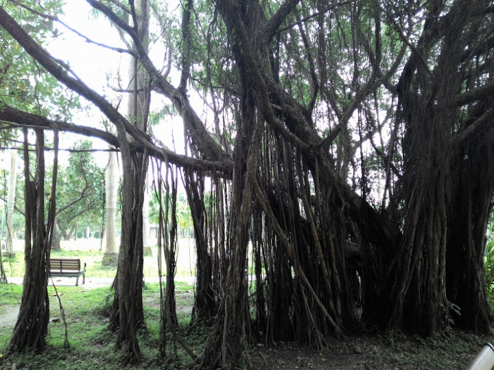 大安森林公園練拍