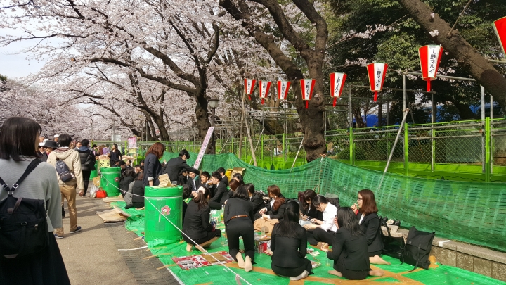 【日本‧東京】前進東京十天九夜築夢之旅（文長）