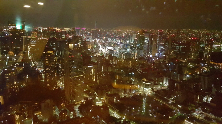 【日本‧東京】前進東京十天九夜築夢之旅（文長）