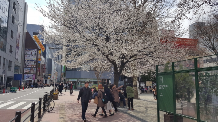 【日本‧東京】前進東京十天九夜築夢之旅（文長）