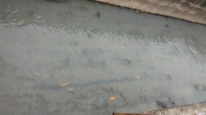 社區前的水溝