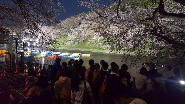 【日本‧東京】前進東京十天九夜築夢之旅（文長）