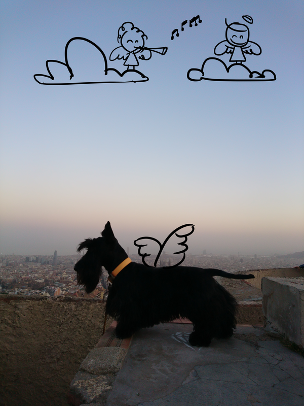 SONY 原廠 Xperia X 實拍