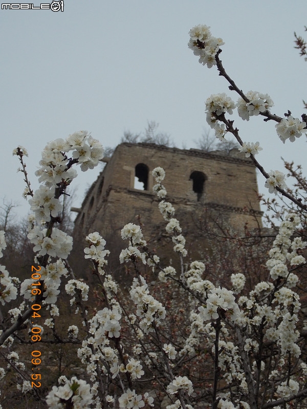 撞道口長城 (鎮虜關)