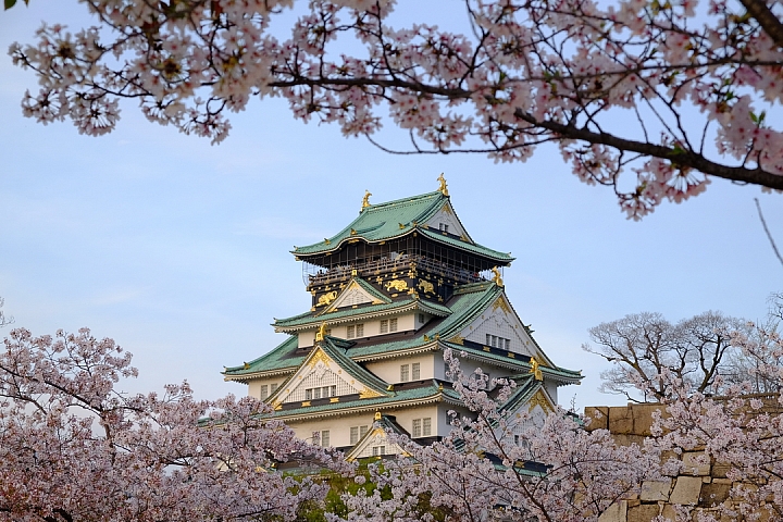 2016 京都賞櫻