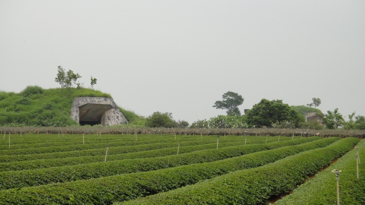 2016-04-09快速探尋松柏嶺砲陣地與碉堡之行