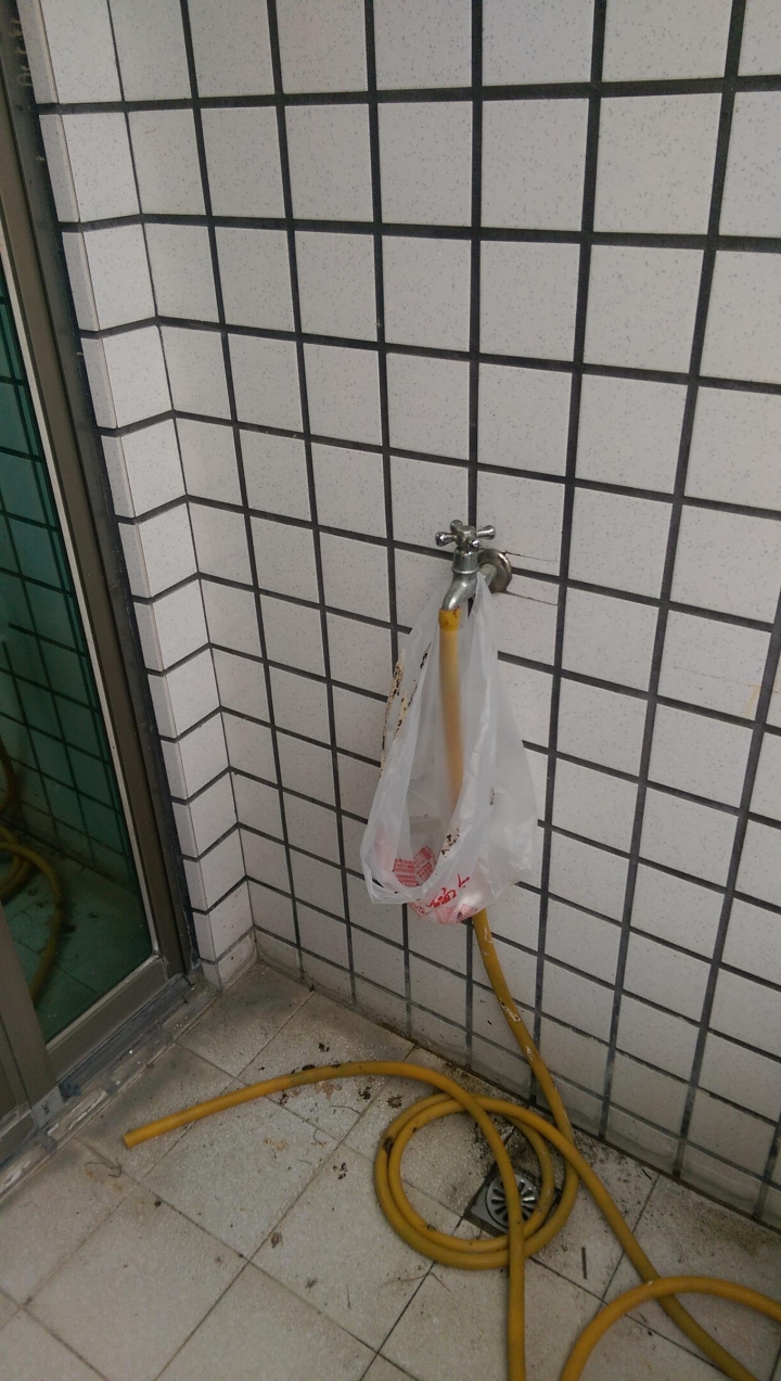 陽台有鳥窩，地上都鳥大便...