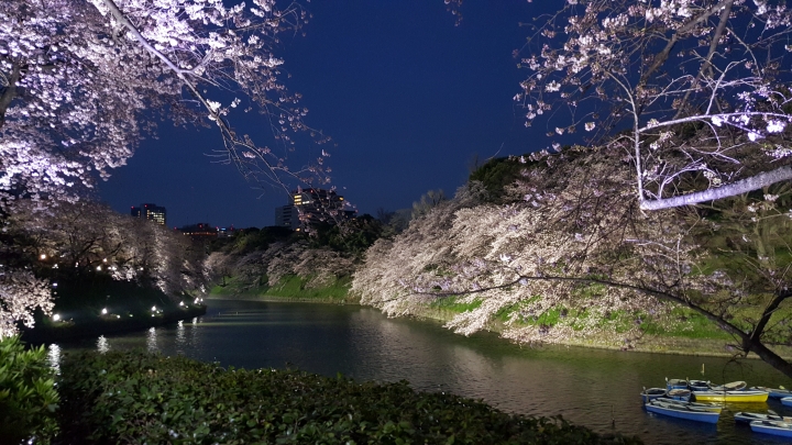 【日本‧東京】前進東京十天九夜築夢之旅（文長）