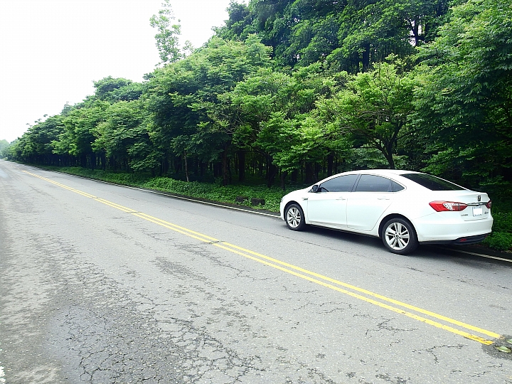 Luxgen S3偽裝車能來屏東這些道路嗎？保證很少被發現