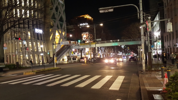 【日本‧東京】前進東京十天九夜築夢之旅（文長）