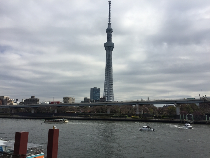 【日本‧東京】前進東京十天九夜築夢之旅（文長）