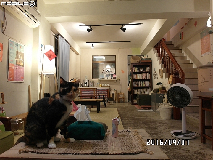 給自己的生日禮物 － 單速車環島遊記