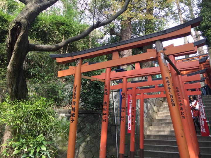 【日本‧東京】前進東京十天九夜築夢之旅（文長）