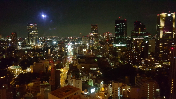 【日本‧東京】前進東京十天九夜築夢之旅（文長）