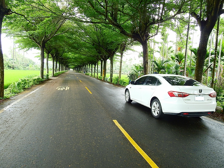 Luxgen S3偽裝車能來屏東這些道路嗎？保證很少被發現