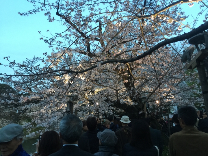 【日本‧東京】前進東京十天九夜築夢之旅（文長）