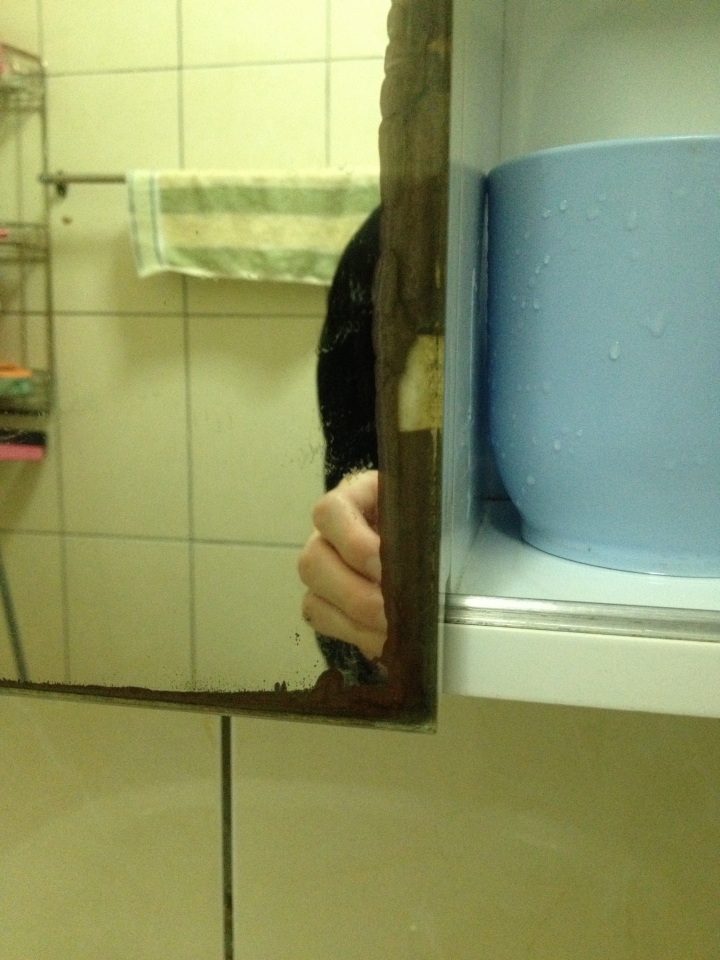 浴室玻璃鏡黑點+黑邊...更換疑問