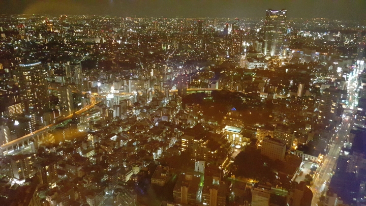 【日本‧東京】前進東京十天九夜築夢之旅（文長）