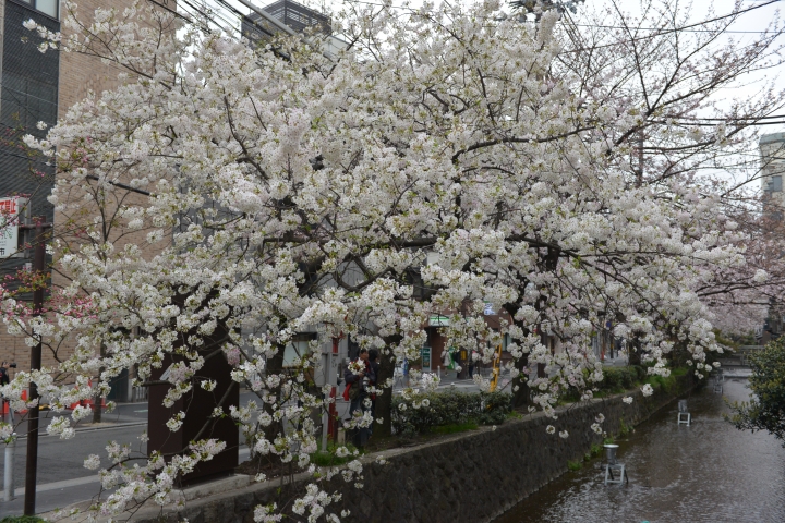 日本旅行-DAY2(圖多)